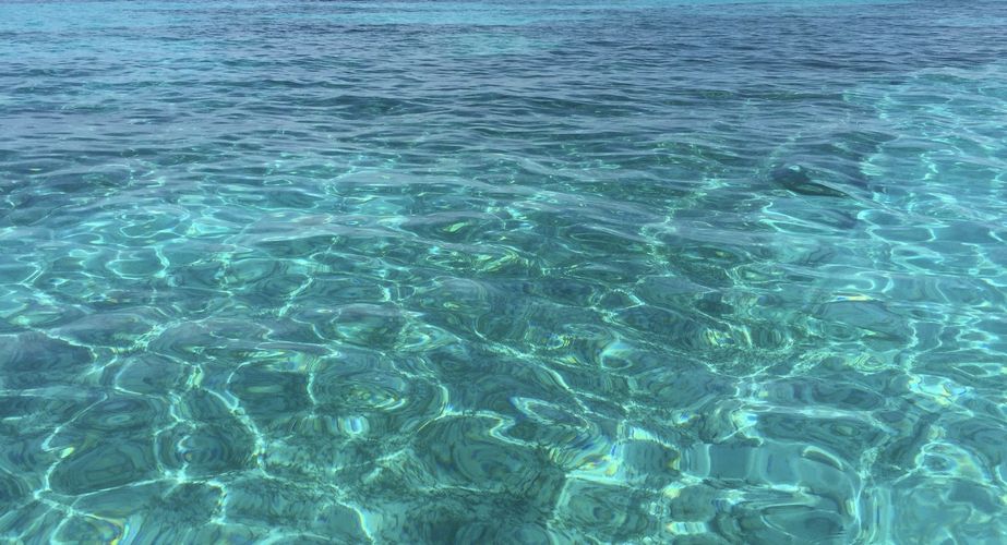 Deep South 23 Deep South 23